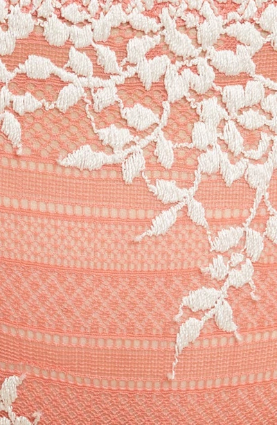Shop Wacoal 'embrace' Lace Bikini In Faded Rose/ White Sand