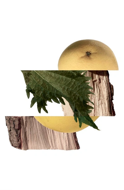 Hermes Terre D'hermès