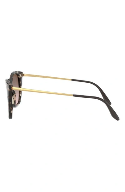 Shop Prada 54mm Gradient Cat Eye Sunglasses In Brown