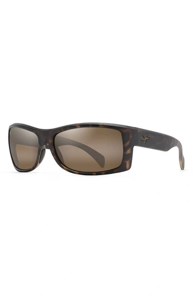 Shop Maui Jim Equator 64.5mm Polarized Sunglasses In Caramel Tortoise