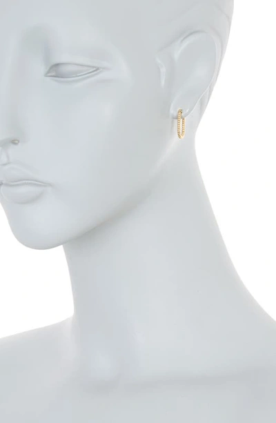 Nordstrom Rack Oval Rope Hoop Earrings In Gold