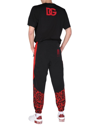 Shop Dolce & Gabbana Jogging Pants With Animal Print In Animalier