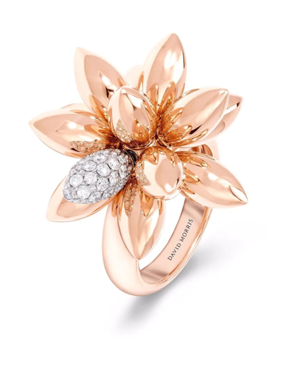 Shop David Morris 18kt Rose Gold Hedgehog Diamond Ring In Pink