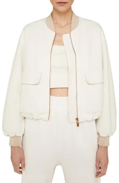 Shop Agnona Crop Cashmere & Cotton Knit Bomber Jacket In Lana