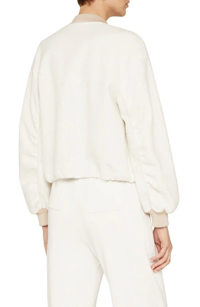 Shop Agnona Crop Cashmere & Cotton Knit Bomber Jacket In Lana