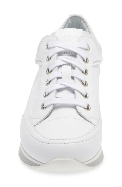 Candice Cooper Adel Sneaker In White/ Grey | ModeSens