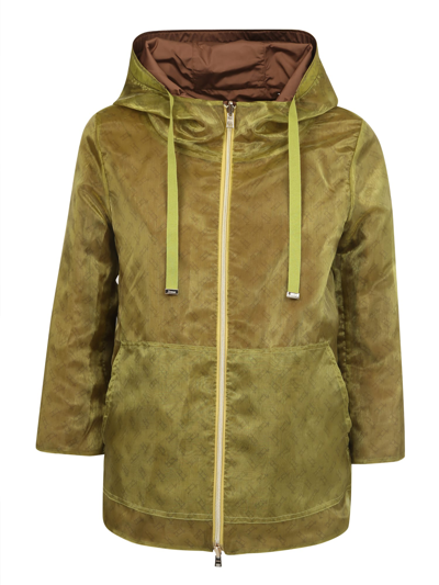 Shop Herno Reversible Hooded Jacket In Green