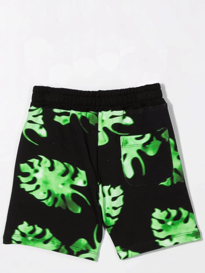 Shop Msgm Shorts With Print In Green