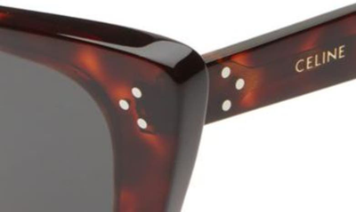 Shop Celine 54mm Cat Eye Sunglasses In Dark Havana / Smoke
