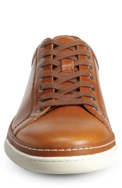 Shop Allen Edmonds Porter Derby Sneaker In Walnut