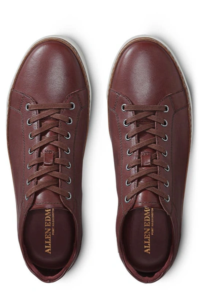 Shop Allen Edmonds Porter Derby Sneaker In Merlot