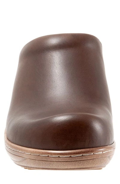 Softwalk Madison Clog In Dark Brown