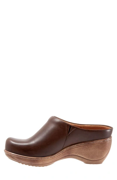 Softwalk Madison Clog In Dark Brown