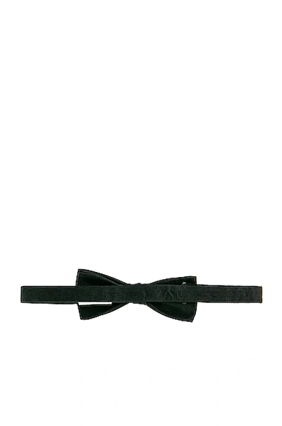 Shop Saint Laurent Bow Tie In Black