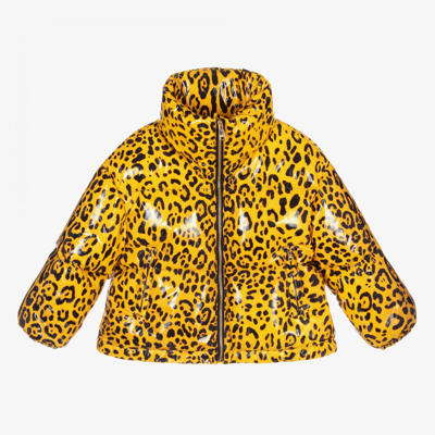 Shop Dolce & Gabbana Girls Yellow Leopard Down Jacket