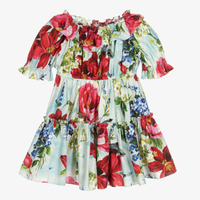 Shop Dolce & Gabbana Girls Red Garden Print Dress In Blue