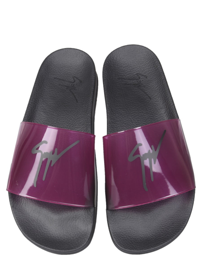 Shop Giuseppe Zanotti Slide Sandals With Logo In Fuchsia