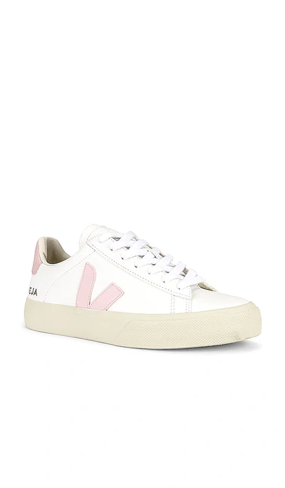 Shop Veja Campo Sneaker In White