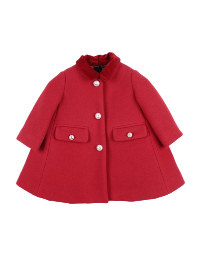 Shop Dolce & Gabbana Woman Coat Red Size 24 Virgin Wool, Cashmere, Cotton