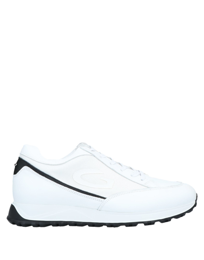 Shop Alberto Guardiani Sneakers In White