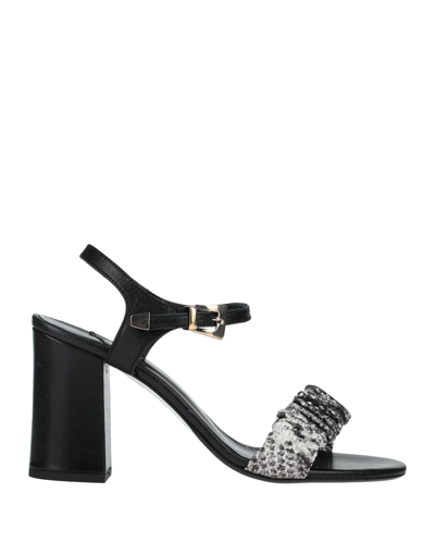 Ncub Sandals In Black