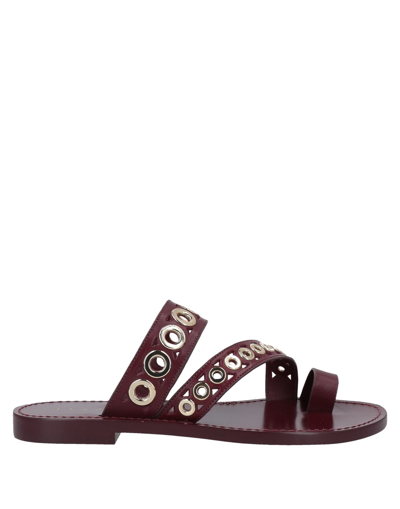 Shop Sandro Woman Toe Strap Sandals Burgundy Size 6.5 Soft Leather In Red