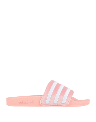 Shop Adidas Originals Adilette W Woman Sandals Pink Size 6 Textile Fibers, Synthetic Fibers