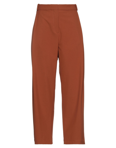 Shop Elvine Woman Pants Rust Size 6 Polyester, Viscose, Elastane In Red
