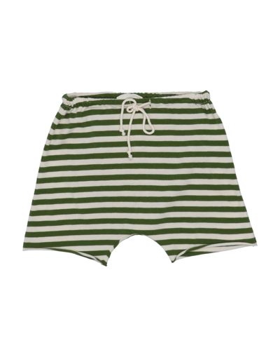 Shop Babe And Tess Babe & Tess Newborn Boy Shorts & Bermuda Shorts Military Green Size 3 Cotton, Elastane