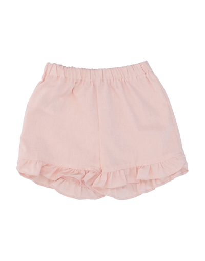 Shop Aletta Newborn Girl Shorts & Bermuda Shorts Blush Size 3 Cotton In Pink