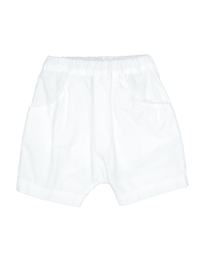 Shop 1+ In The Family 1 + In The Family Newborn Boy Shorts & Bermuda Shorts White Size 3 Cotton