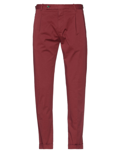 Shop Berwich Man Pants Burgundy Size 28 Cotton, Elastane In Red