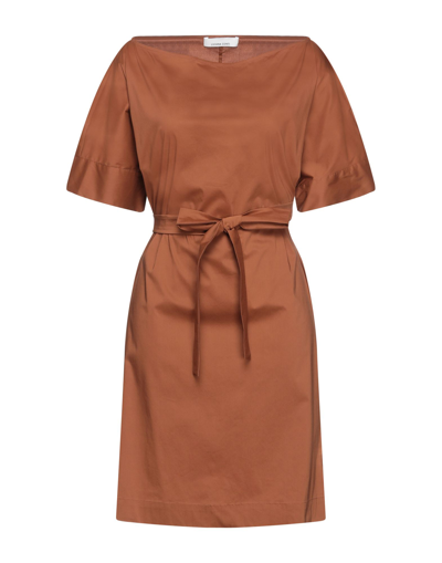 Shop Liviana Conti Woman Mini Dress Brown Size Xl Cotton, Polyamide, Elastane