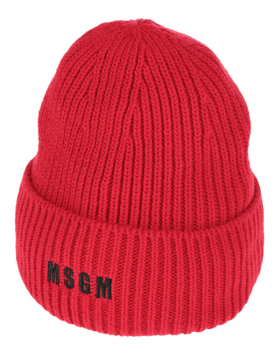 Shop Msgm Hats In Red
