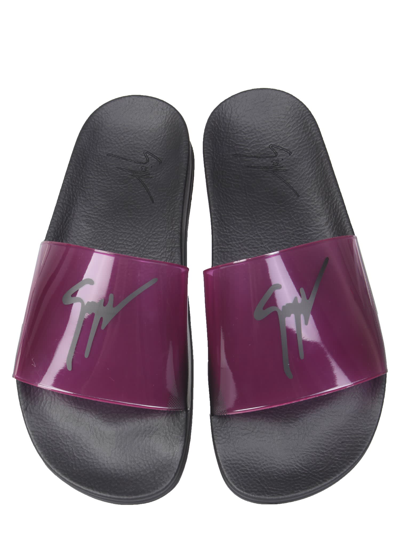 Giuseppe Zanotti Transparent Purple Polyvinyl Chloride Slide Sandals In Fucsia