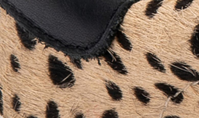 Shop Dolce Vita Zina Sneaker In Leopard Calf Hair