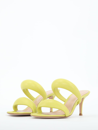 Shop Gianvito Rossi Bijoux Sandals In Yellow
