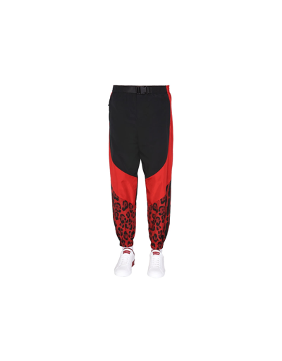 Shop Dolce & Gabbana Jogging Pants With Animal Print