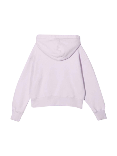 Shop Palm Angels Lilac Sweatshirt With Hood And Print In Lilla/marrone