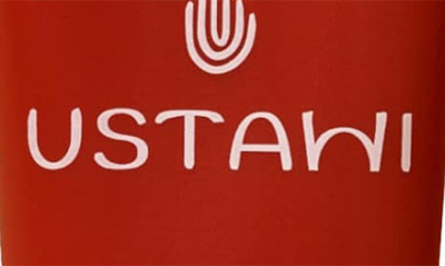 Ustawi Niacinamide Dark Spot Corrector, 1 oz