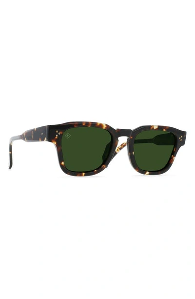 Shop Raen Rece 51mm Polarized Square Sunglasses In Brindle Tortoise / Green Polar