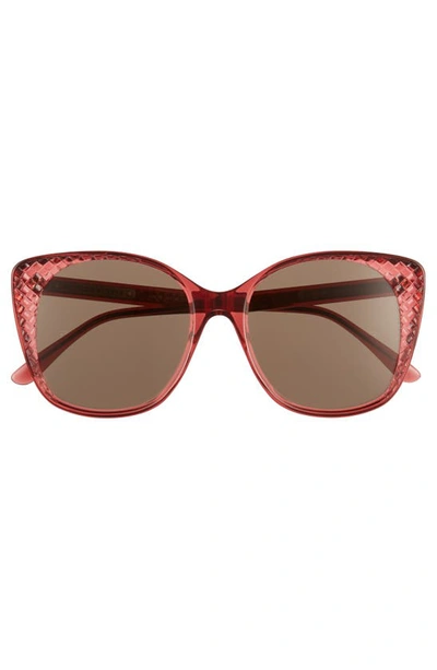 Shop Bottega Veneta 54mm Sunglasses In Burgundy