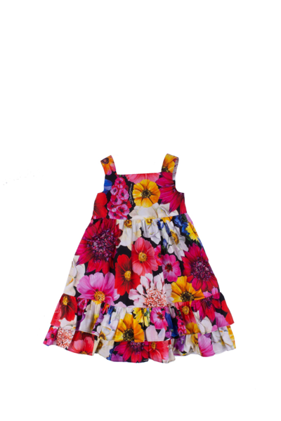 Shop Dolce & Gabbana Long Poplin Dress In Multicolor