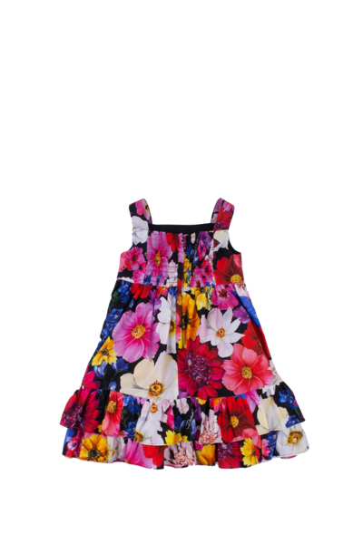 Shop Dolce & Gabbana Long Poplin Dress In Multicolor