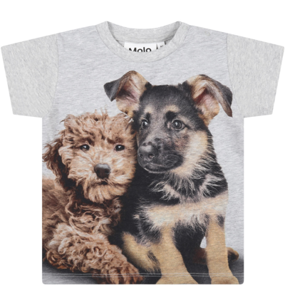 Shop Molo Grey T-shirt For Baby Kids With Dogs