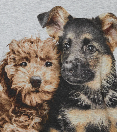 Shop Molo Baby Ellio Cotton-blend T-shirt In Pups Mates