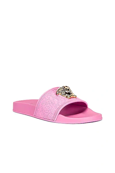 Shop Versace Medusa Slides In Flamingo Pink & Oro