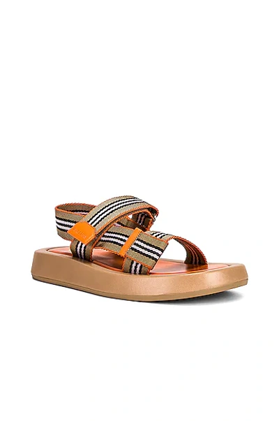 Shop Burberry Eve Sandals In Gold Honey