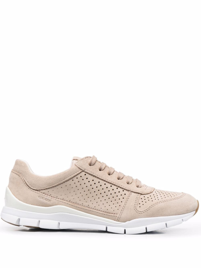 Geox Sukie Low-top Sneakers In Neutrals