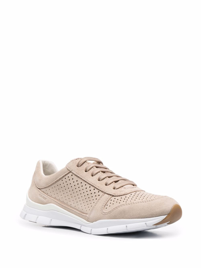 Geox Sukie Low-top Sneakers In Neutrals